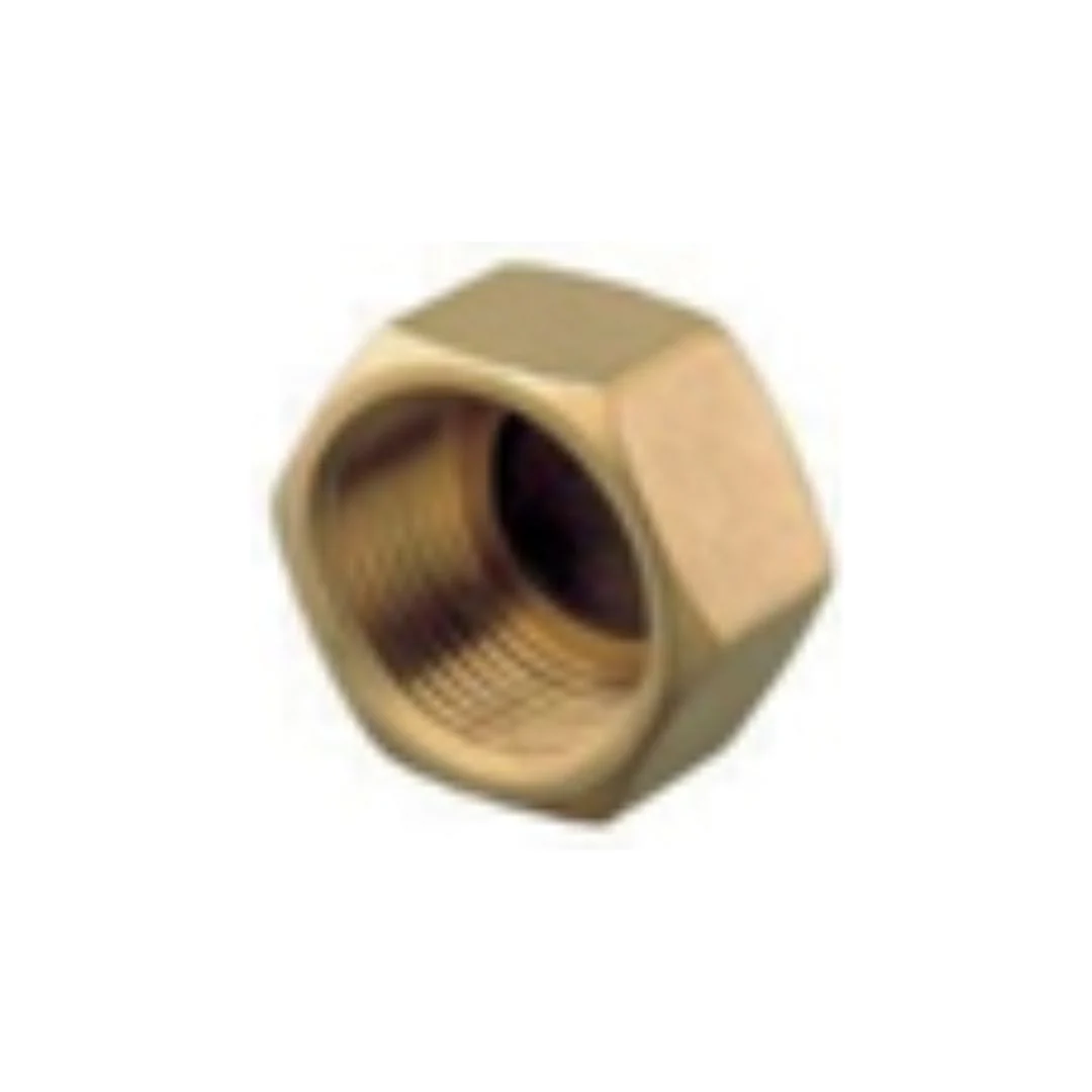 1/4 BSP Female Cap