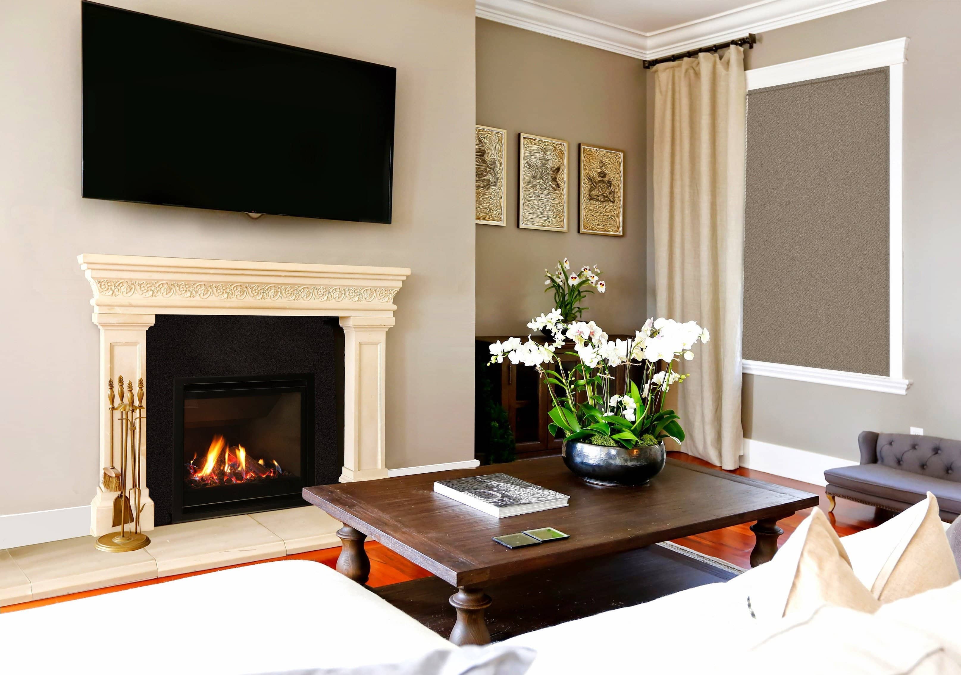 Escea DF700 Gas Fireplace - Image 4