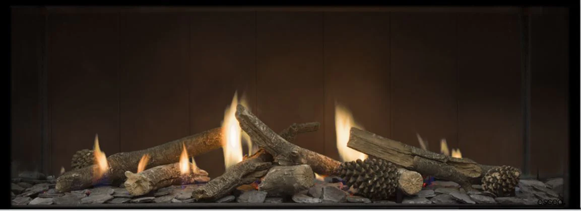 Escea DS1150 Single Sided Gas Fireplace
