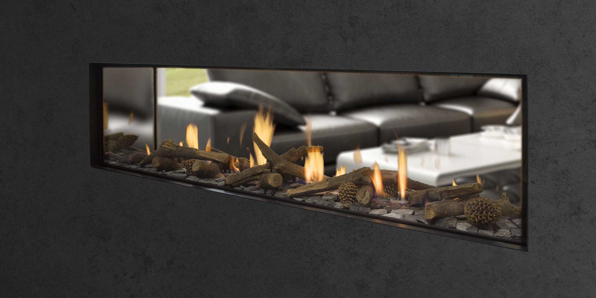 Escea DS1650 Double Sided Gas Fireplace