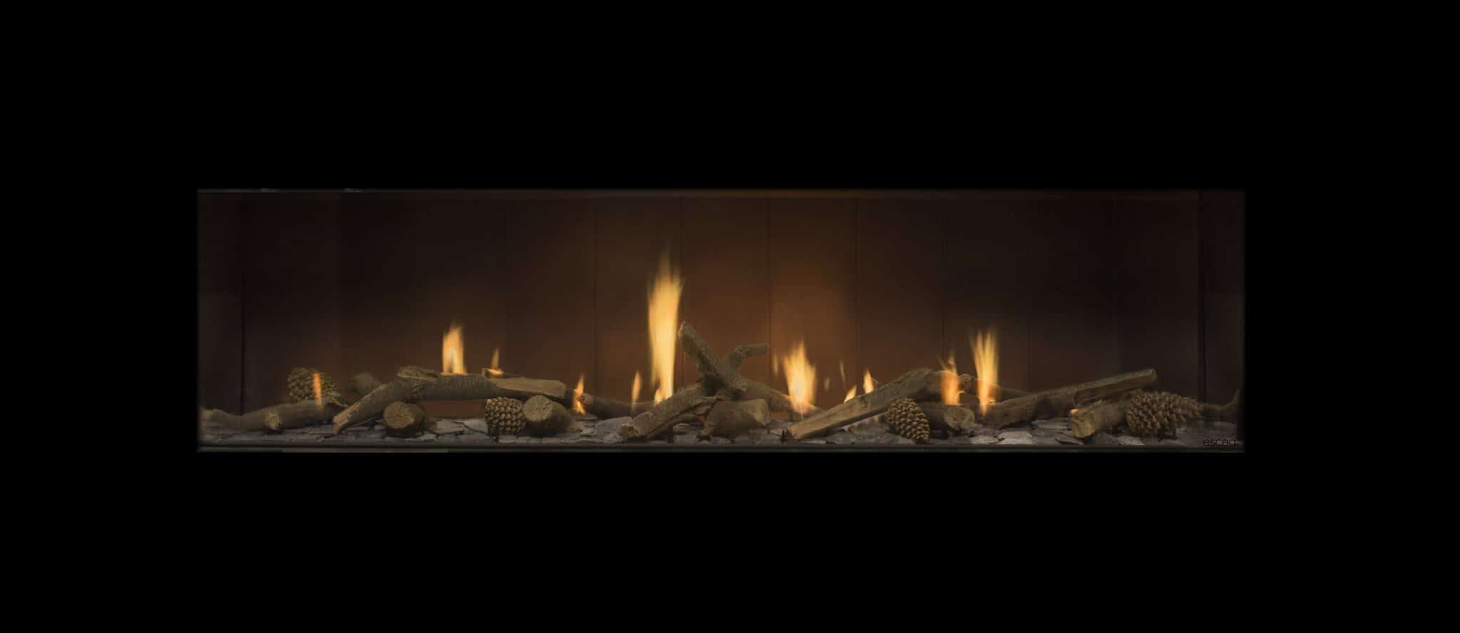 Escea DS1650 Single Sided Gas Fireplace