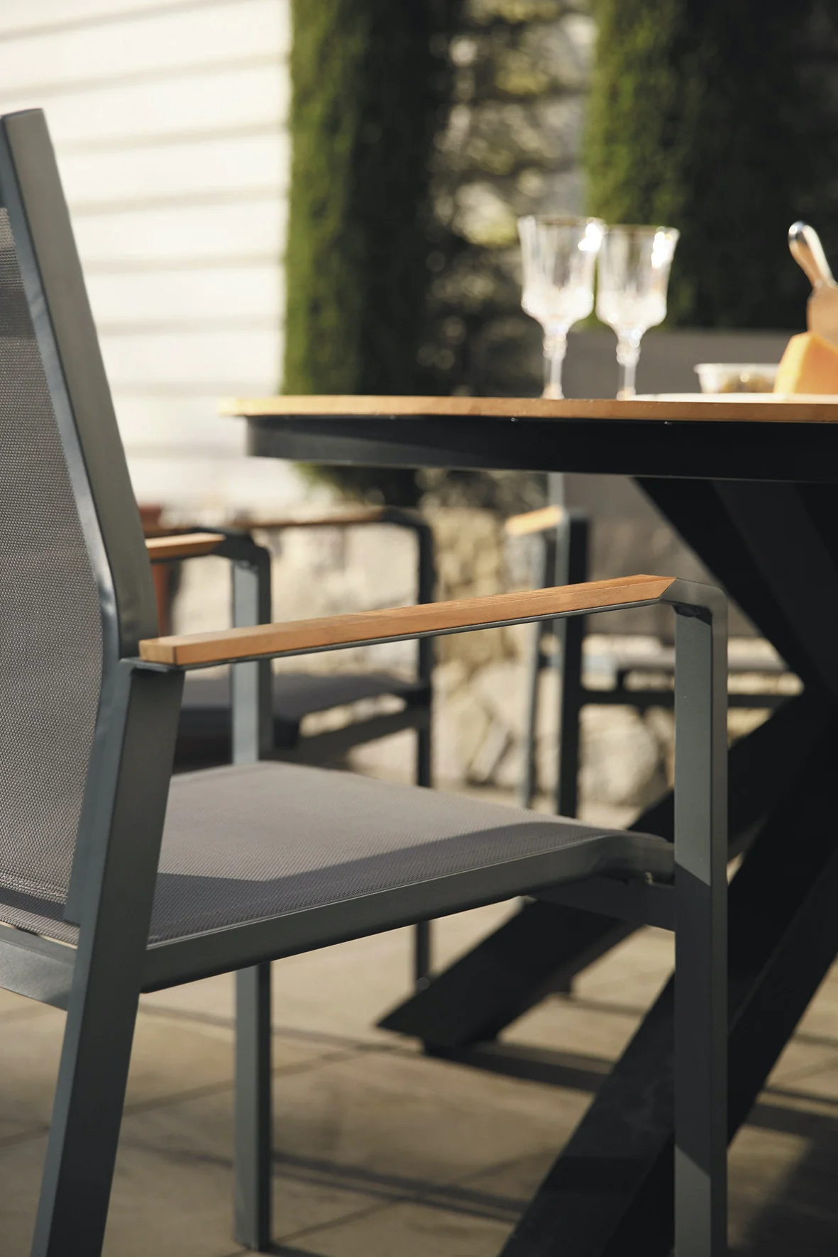 Shelta Empire Premium Dining Chairs - Image 4