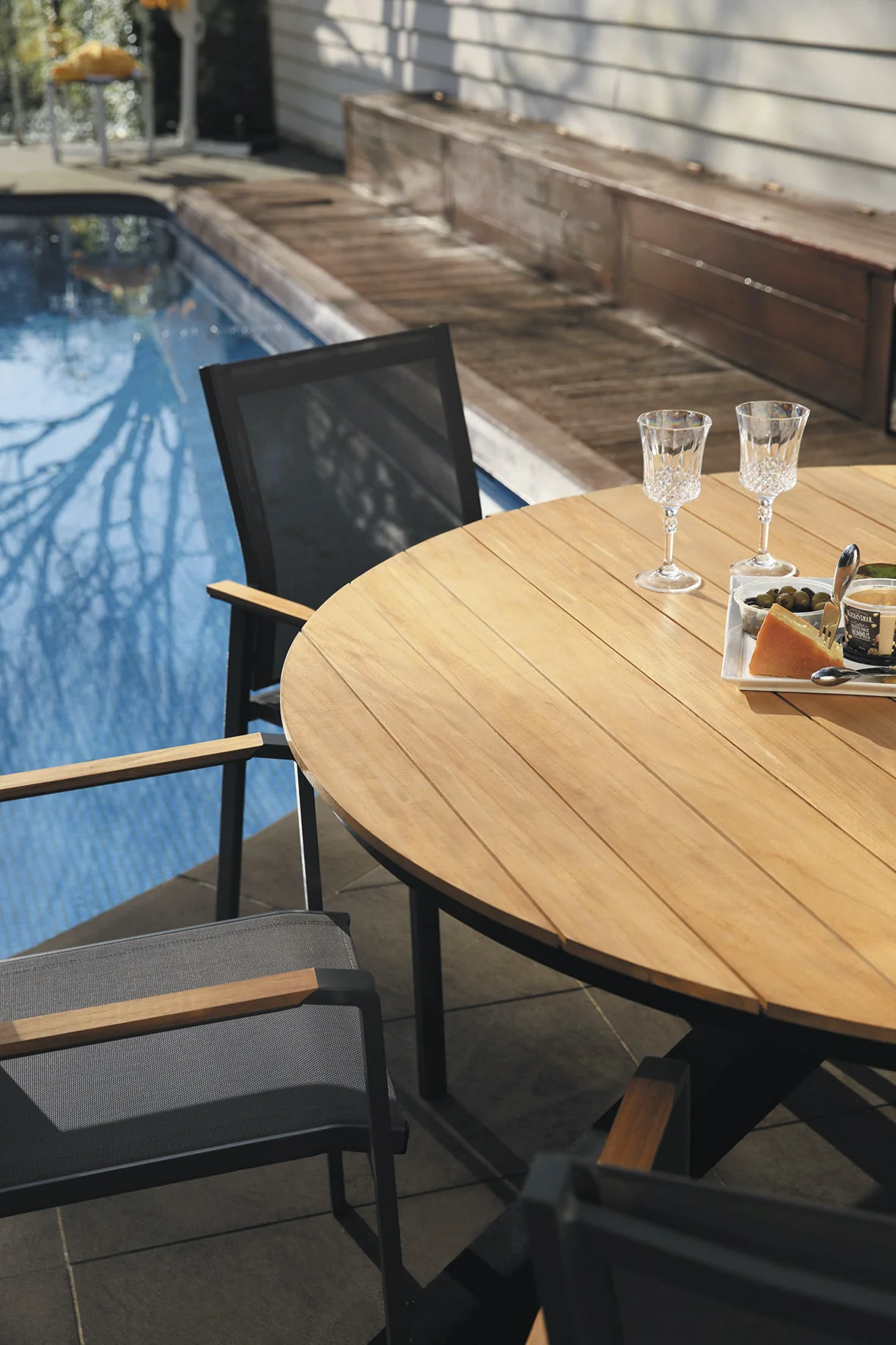 Shelta Empire Premium Dining Chairs - Image 5