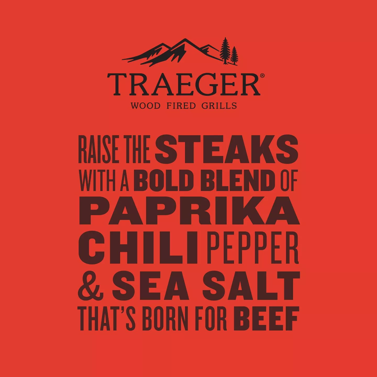 Traeger Beef Rub - 200g - Image 5