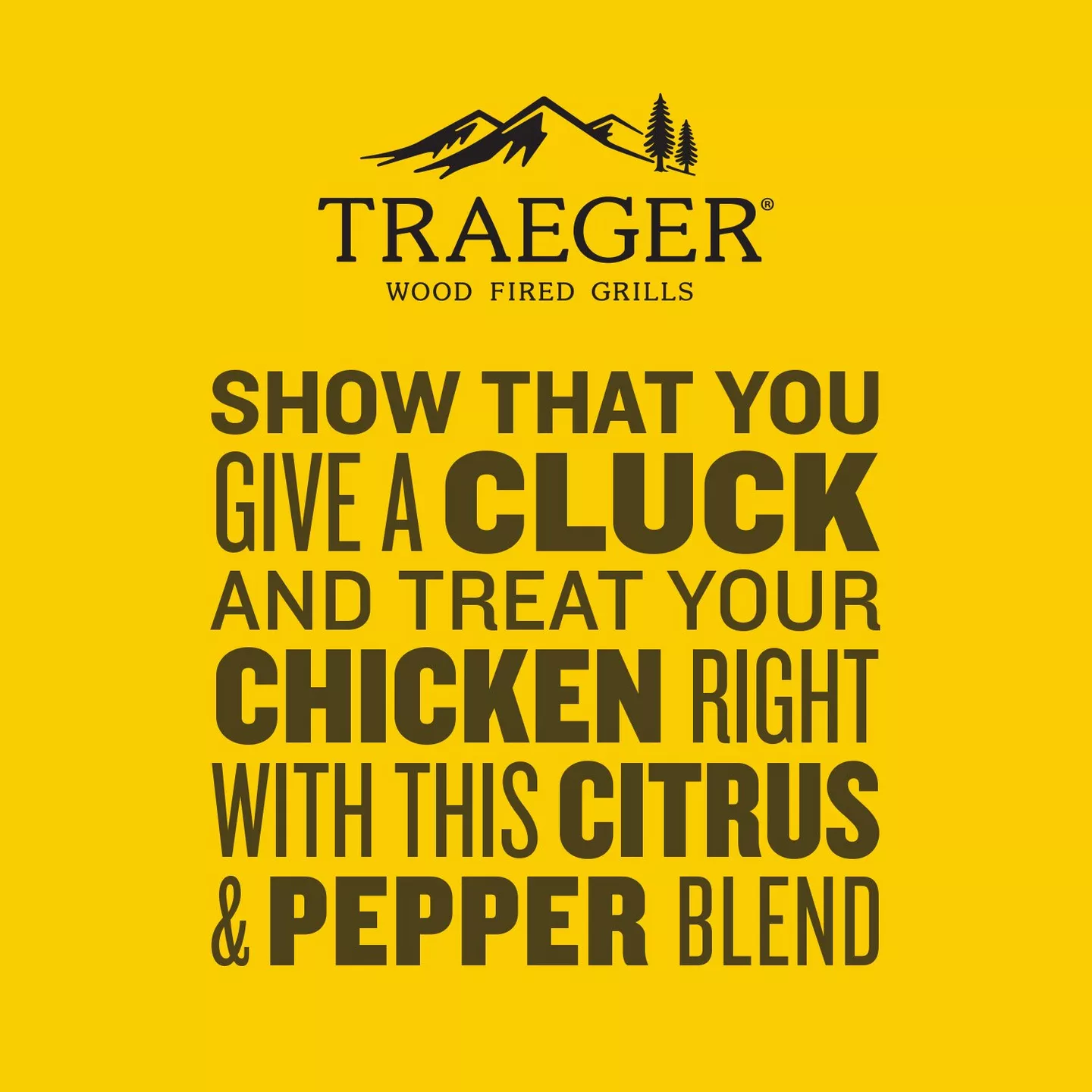 Traeger Chicken Rub - 200g - Image 5
