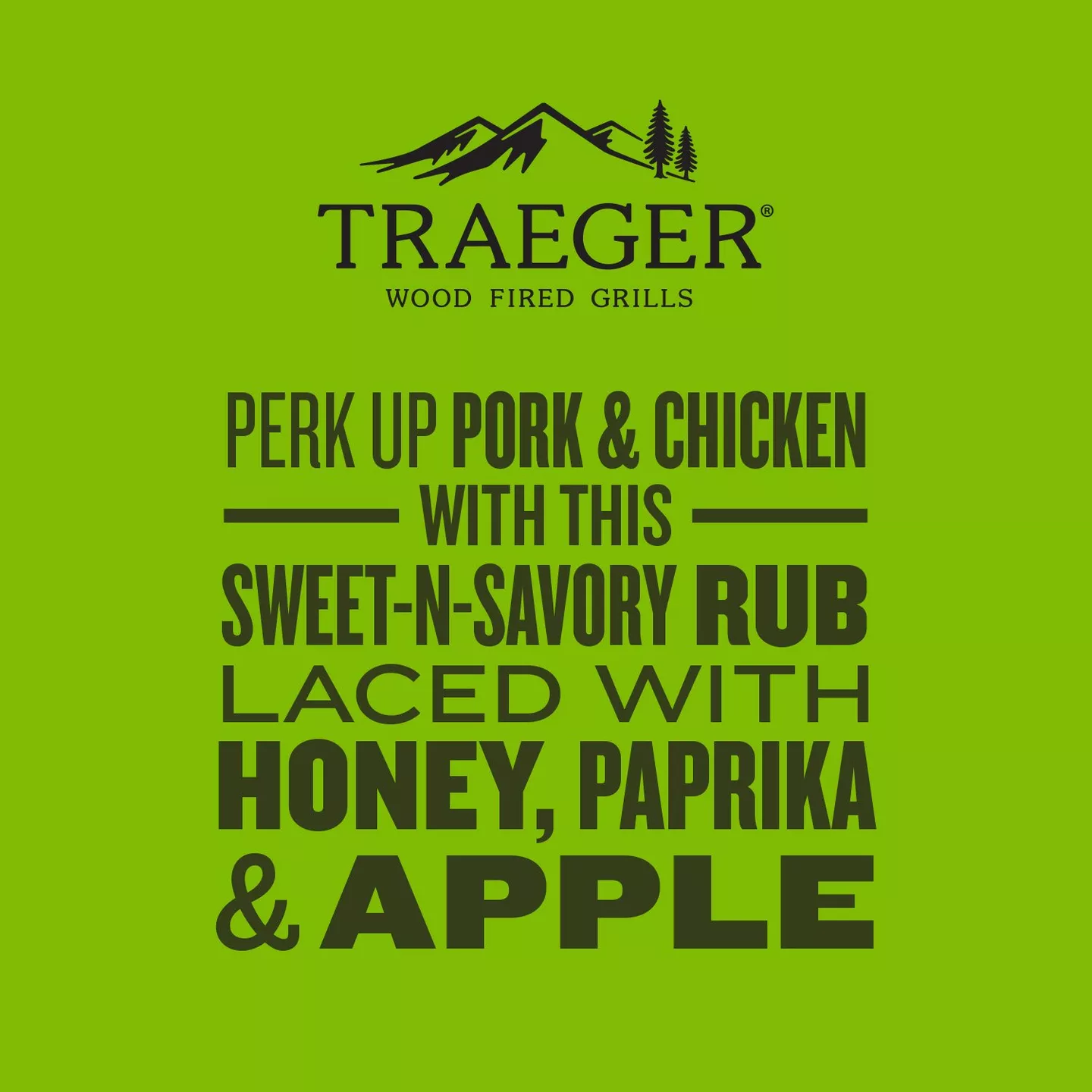 Traeger Pork & Poultry Rub - 200g - Image 5