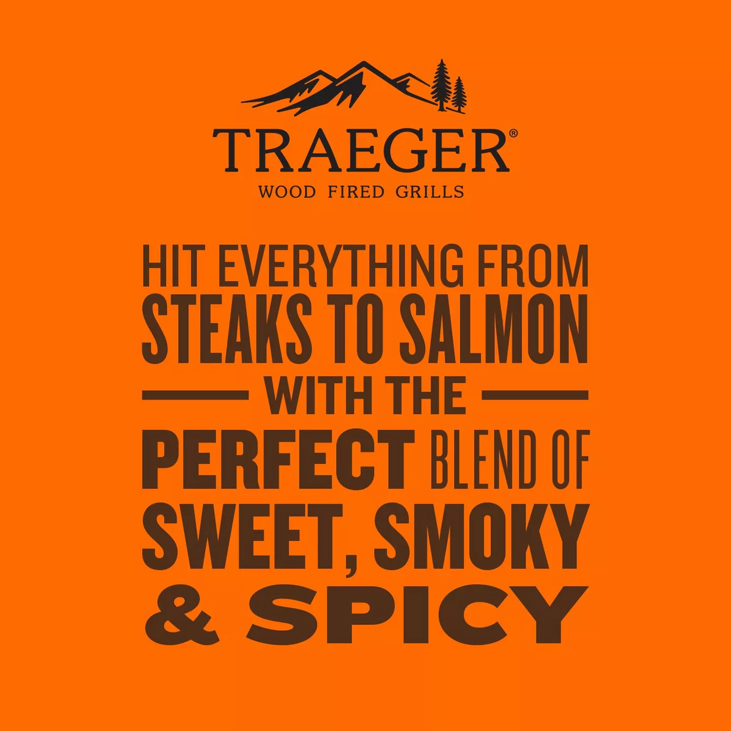 Traeger Rub - 200g - Image 5